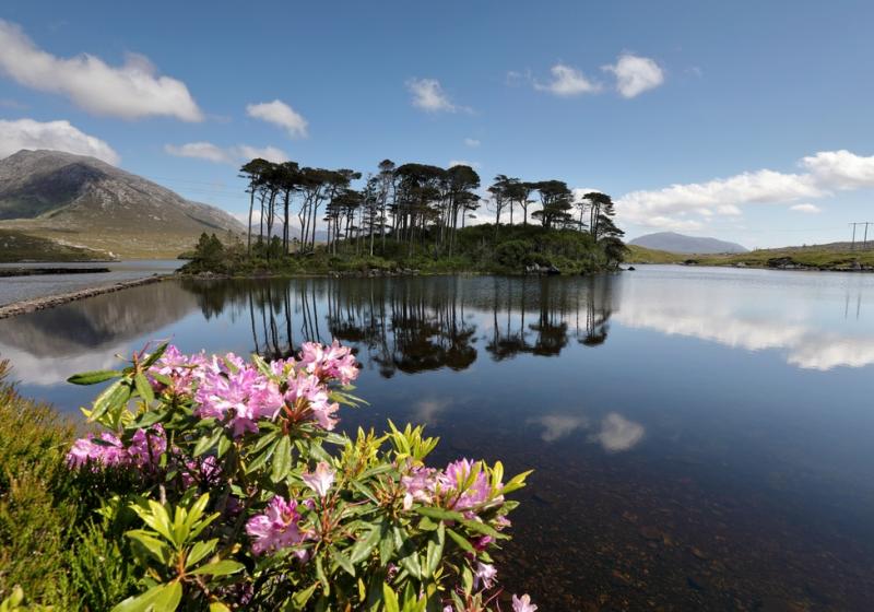 Photo: Connemara (Galway), Ireland by Chaosheng Zhang