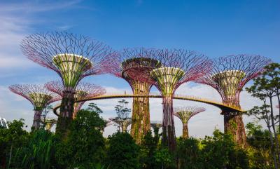 Gardens by the Bay (Photo: Singapore Tourism Board)