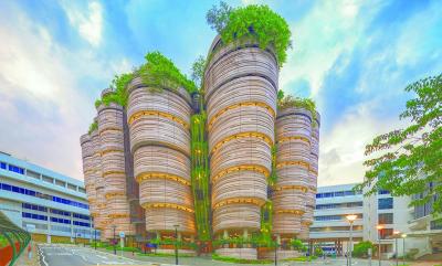The Hive