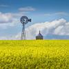 Photo (cc) Windmill in a canola field. Flickr user jimchoate